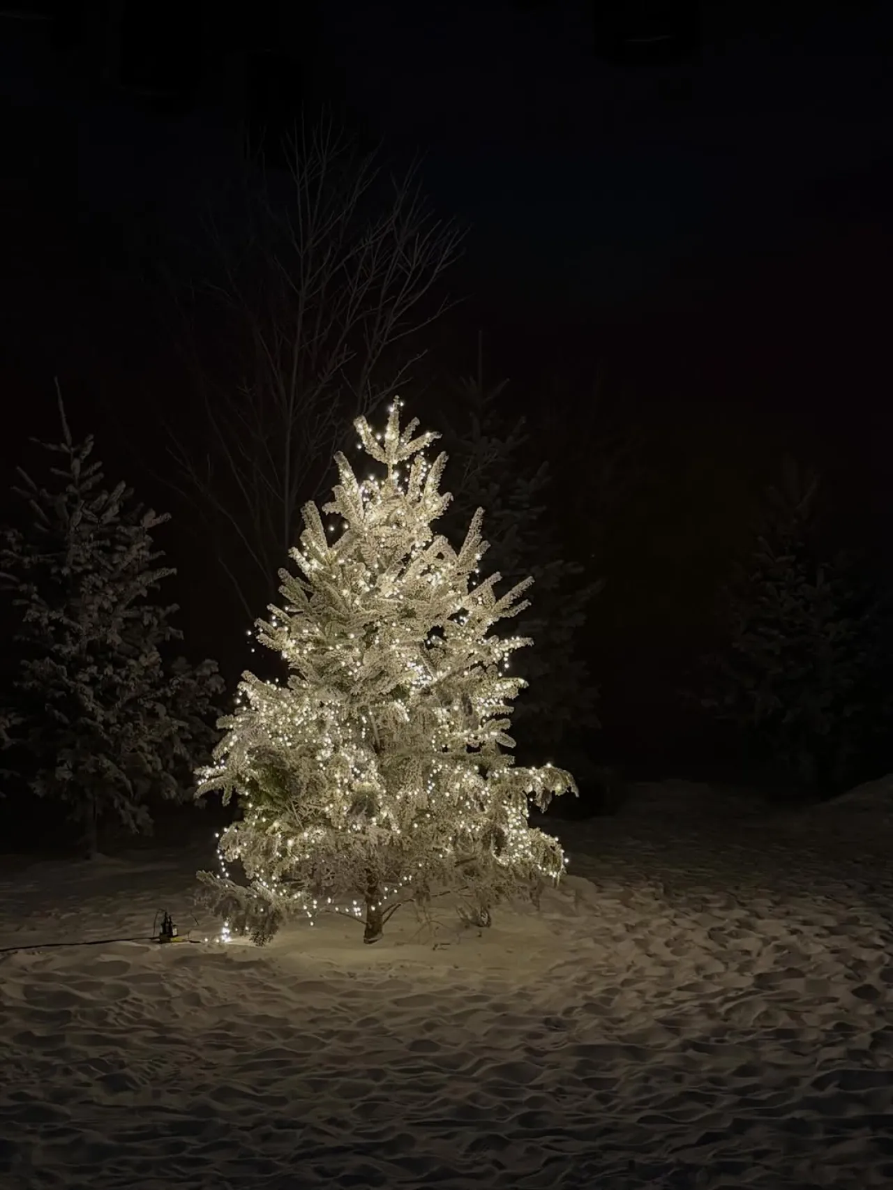 Wish to Wish Project Announces December 2025 Launch for Global Charity Initiative