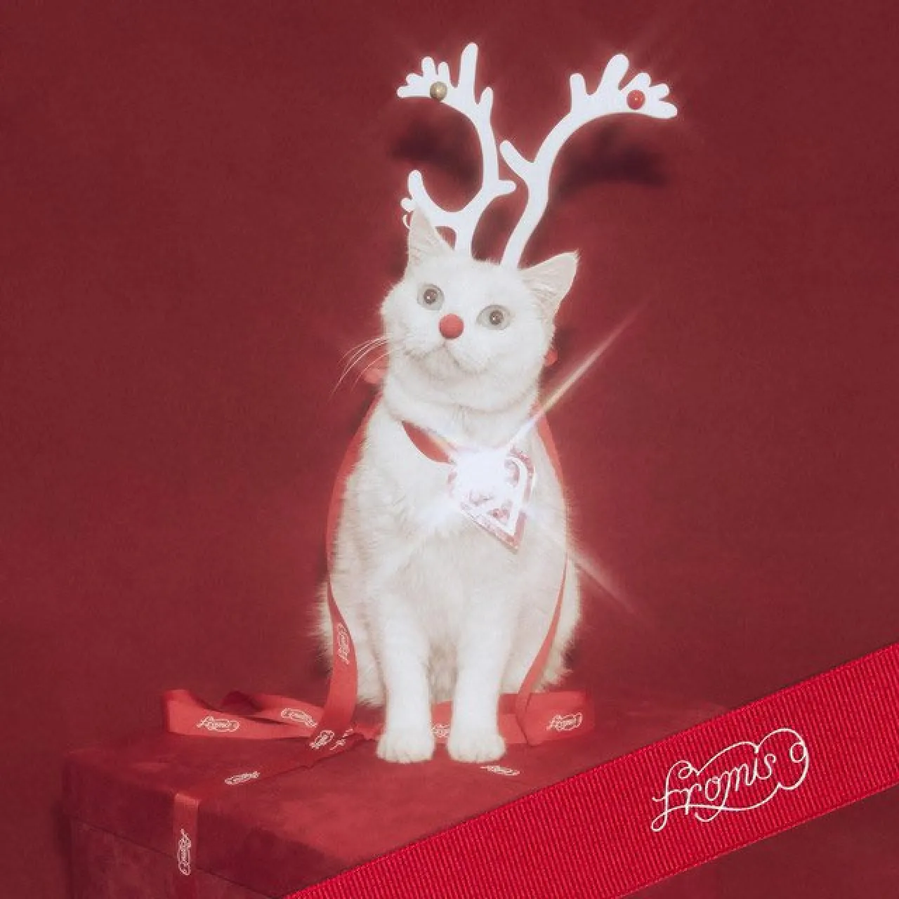 fromis_9's White Memories Hits New Peak on MelOn Daily Chart