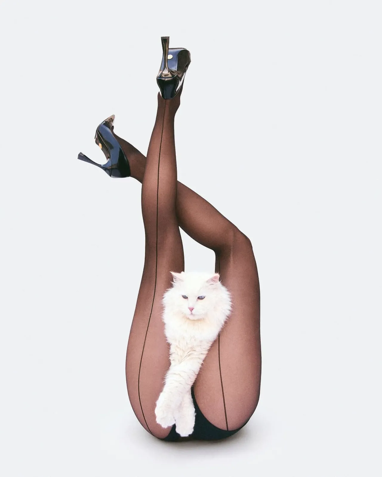 Stella McCartney Launches Ethical Vegan Patent Pumps, Champions Battersea Cats & Dogs Home