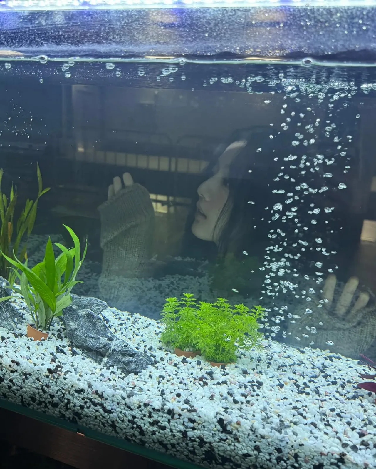 Listeners Rally Around Artist Comsu with 