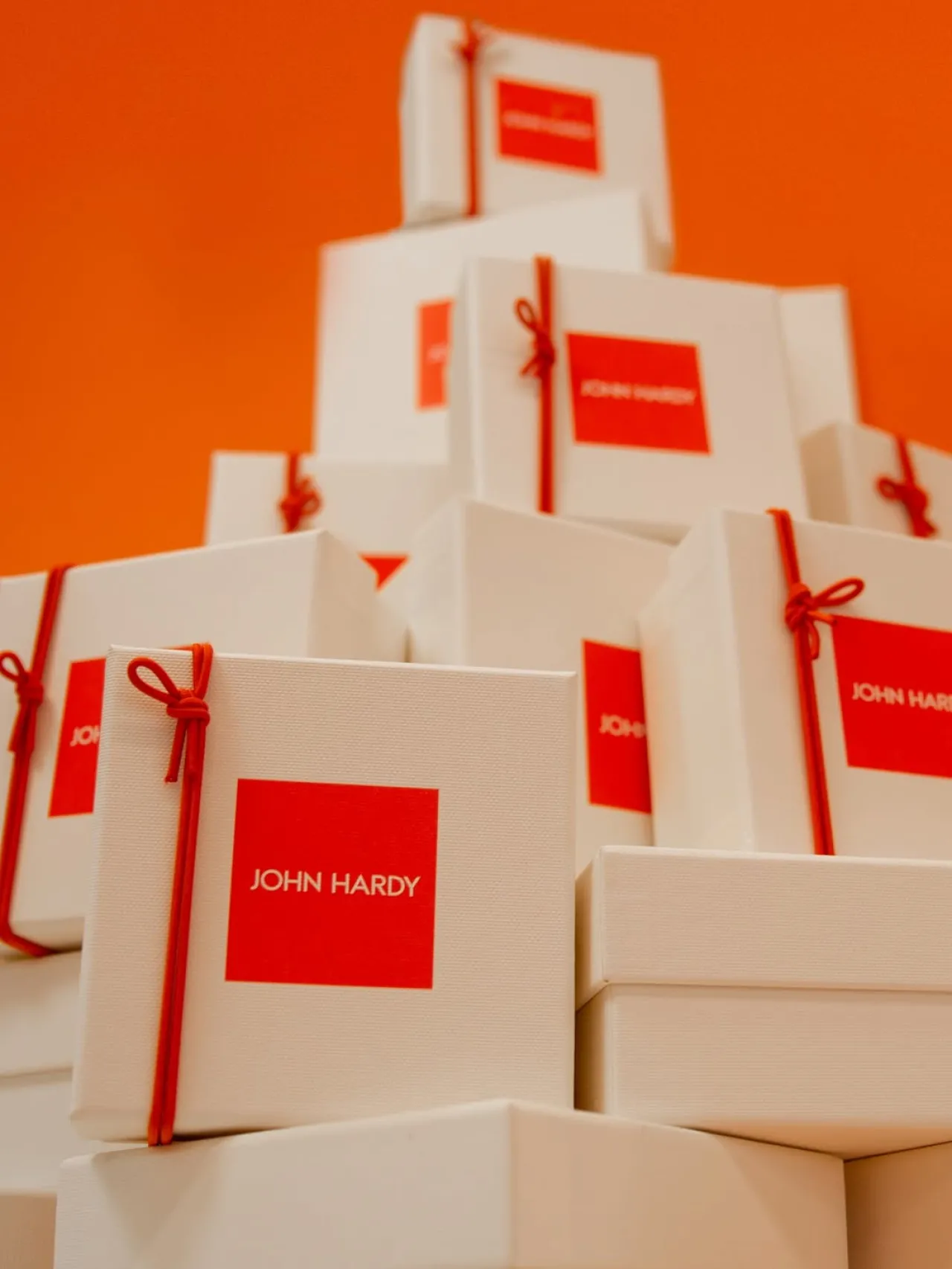 Last Chance for Express Holiday Shipping to Ensure Christmas Delivery