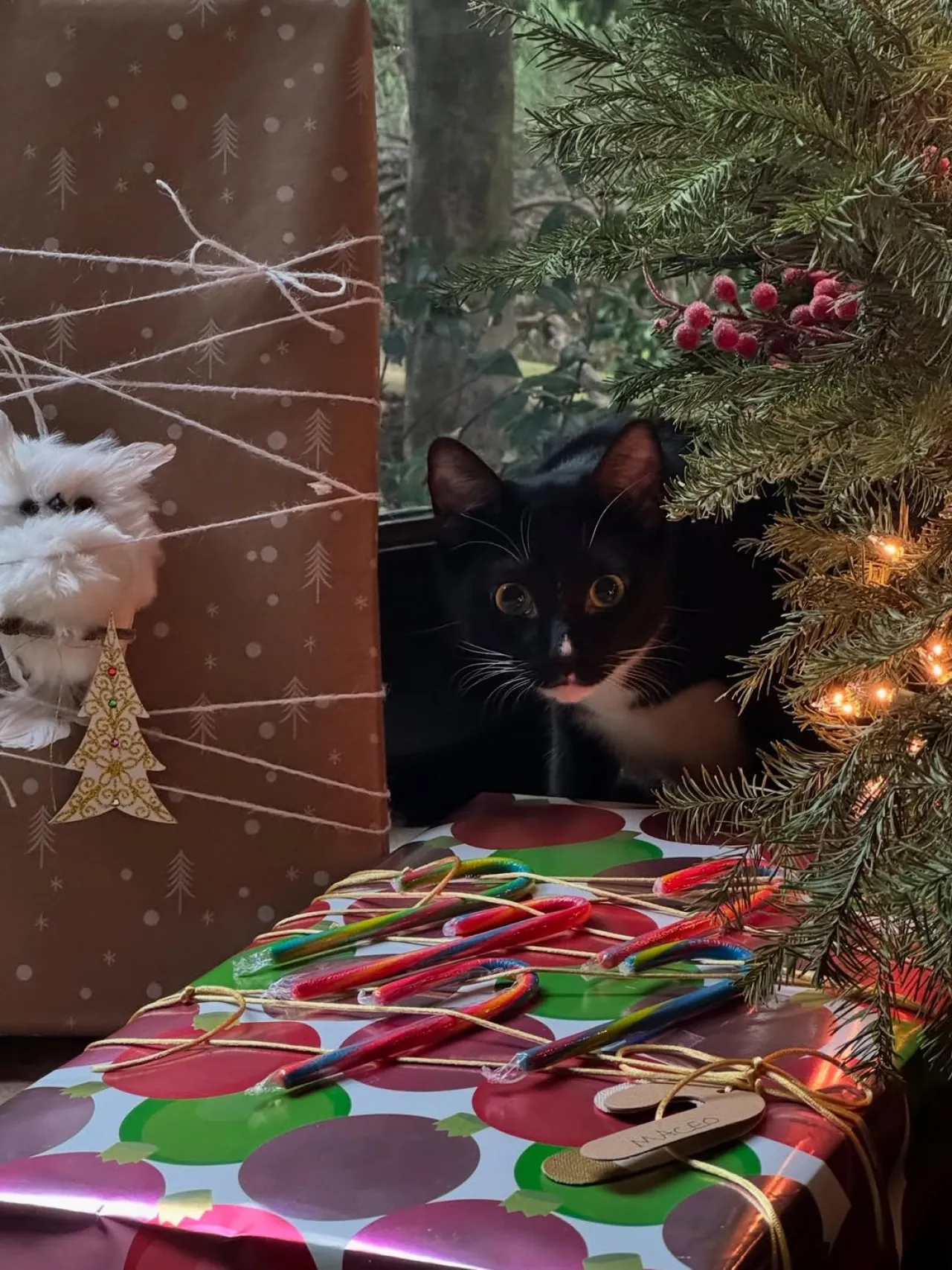 Halle Berry Announces New Holiday Film Project