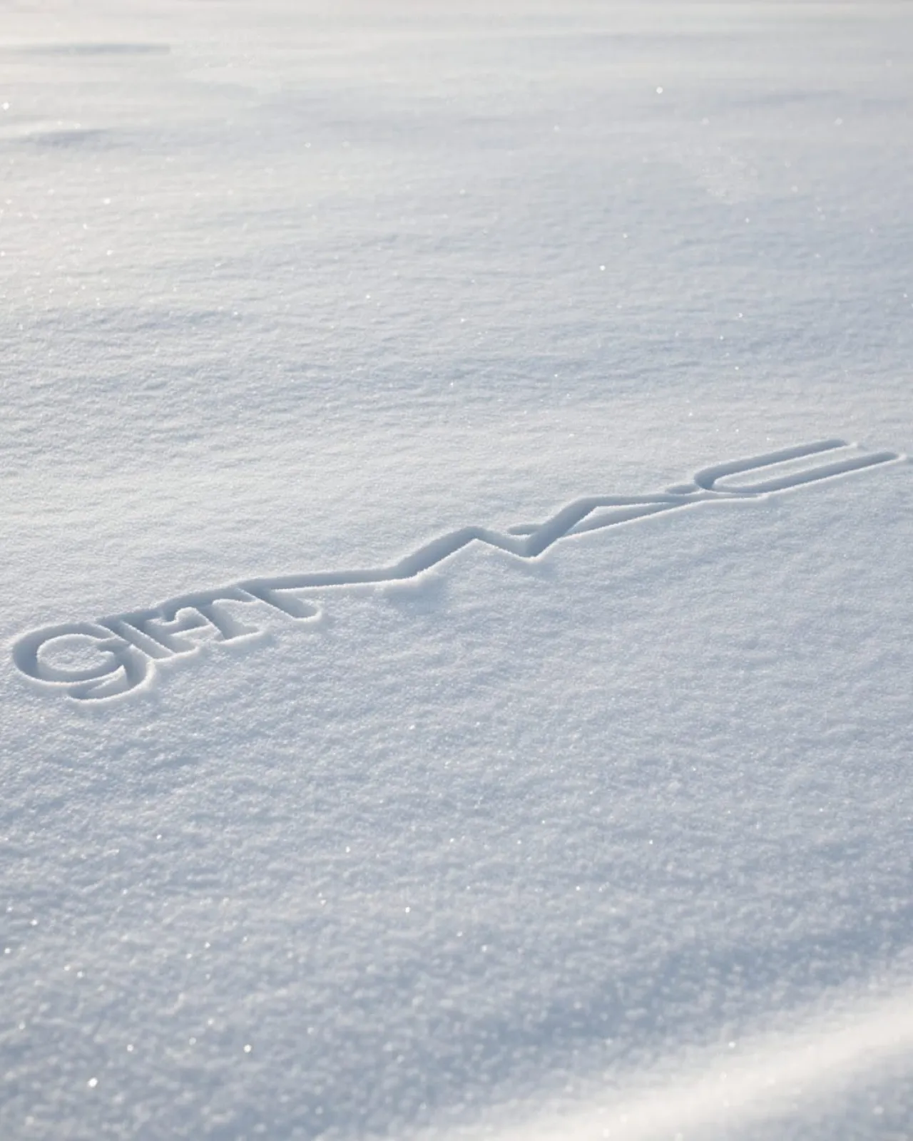 Consumers Share Festive Wishes in Hopes of a Perfect Holiday Season