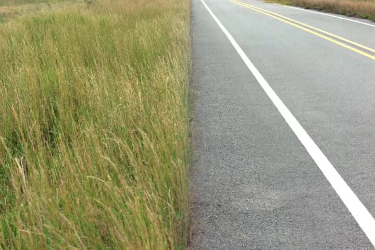 Alpha Drive One Releases New Music Video for "Euphoria" Featuring Star Road Film